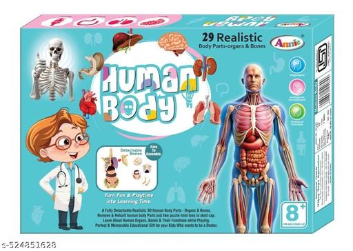 The Human Body – A Complex, Coordinated System of Cells and Organs Working Together for Life and Health