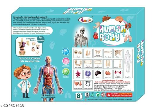 The Human Body – A Complex, Coordinated System of Cells and Organs Working Together for Life and Health