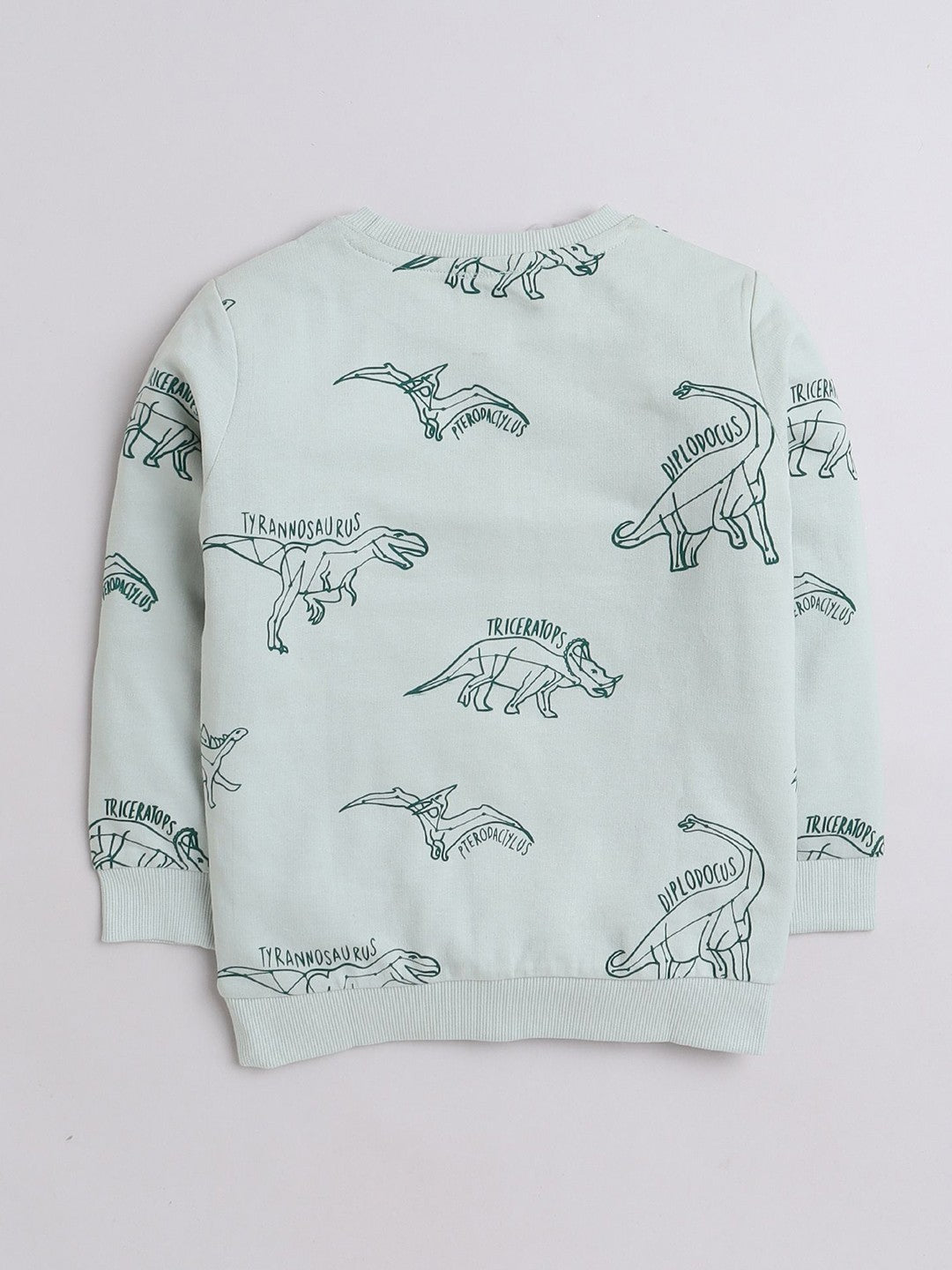 Smart Urban Sweatshirts for Young Explorers - Light Green