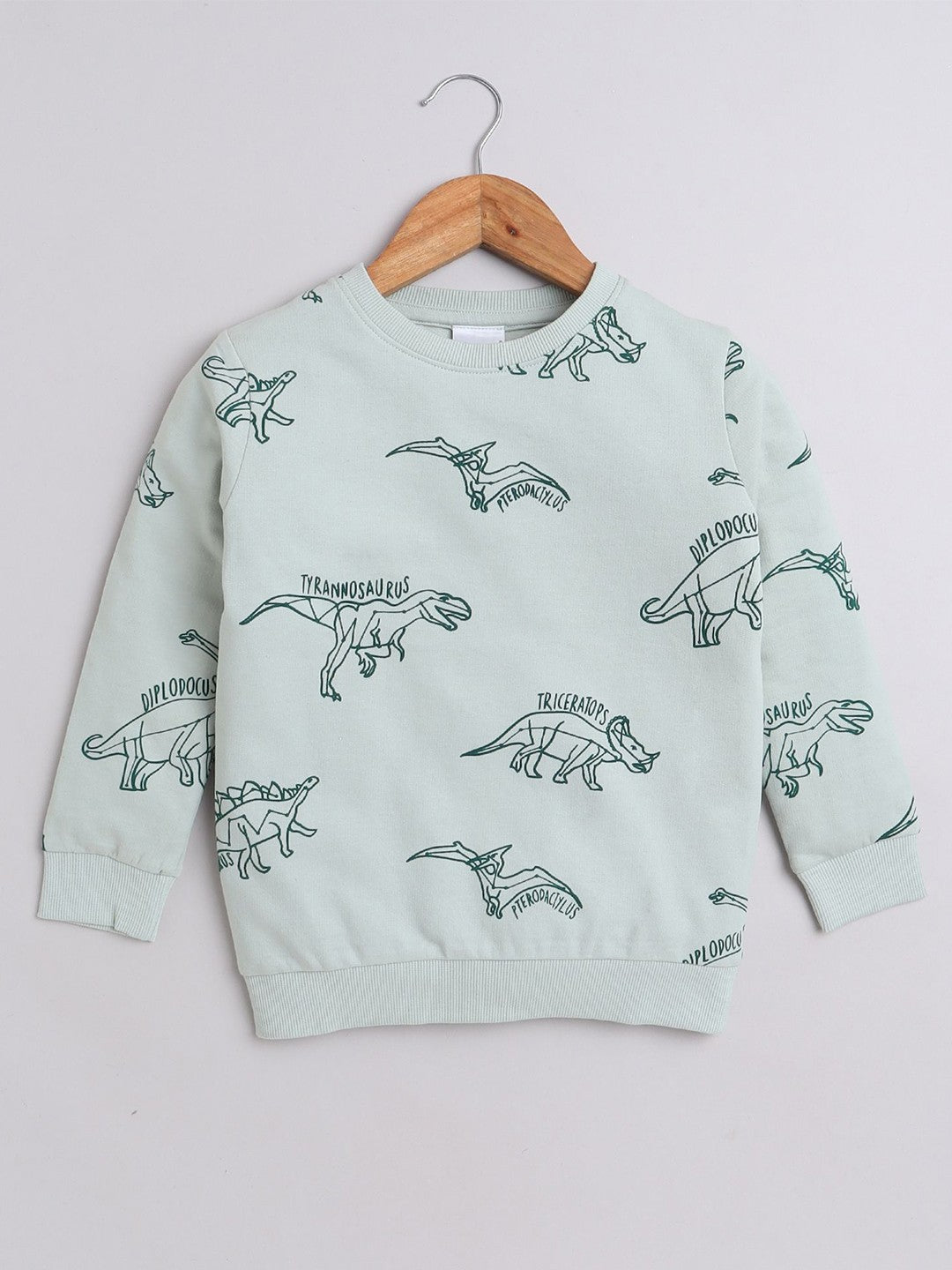 Smart Urban Sweatshirts for Young Explorers - Light Green