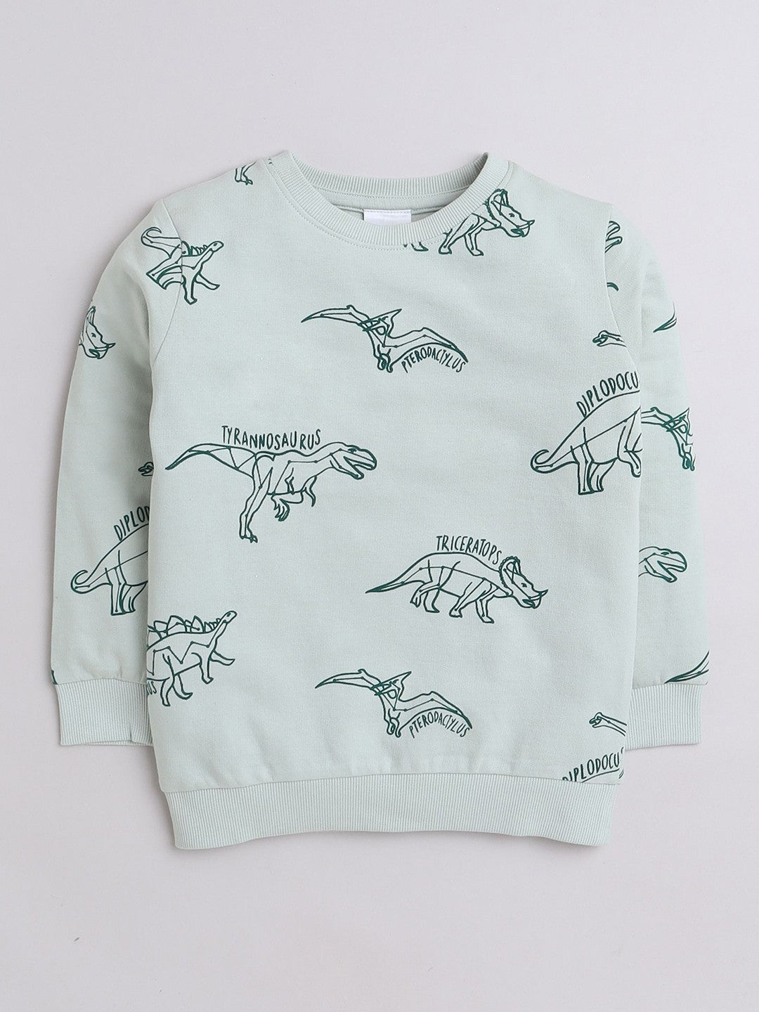 Smart Urban Sweatshirts for Young Explorers - Light Green