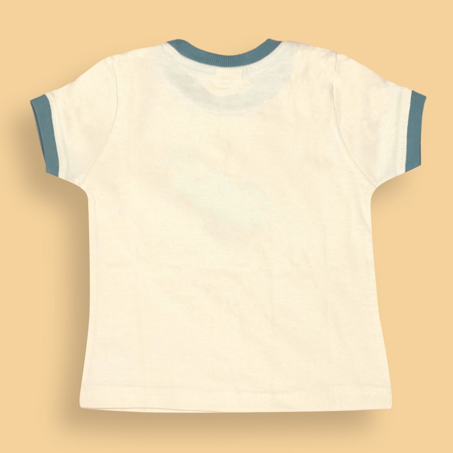 Zero Breathable Turquoise Boys' Set – Surfing Tortoise Placement Print Tee with Round Neck & Comfortable Cotton Shorts