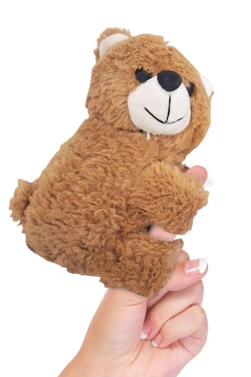 Webby Adorable Teddy Wrist Band Soft Toys