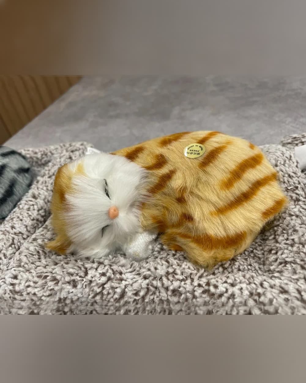 Smilebug Cute Cat Soft Toy Sleeping on a Pillow with Meow Sound