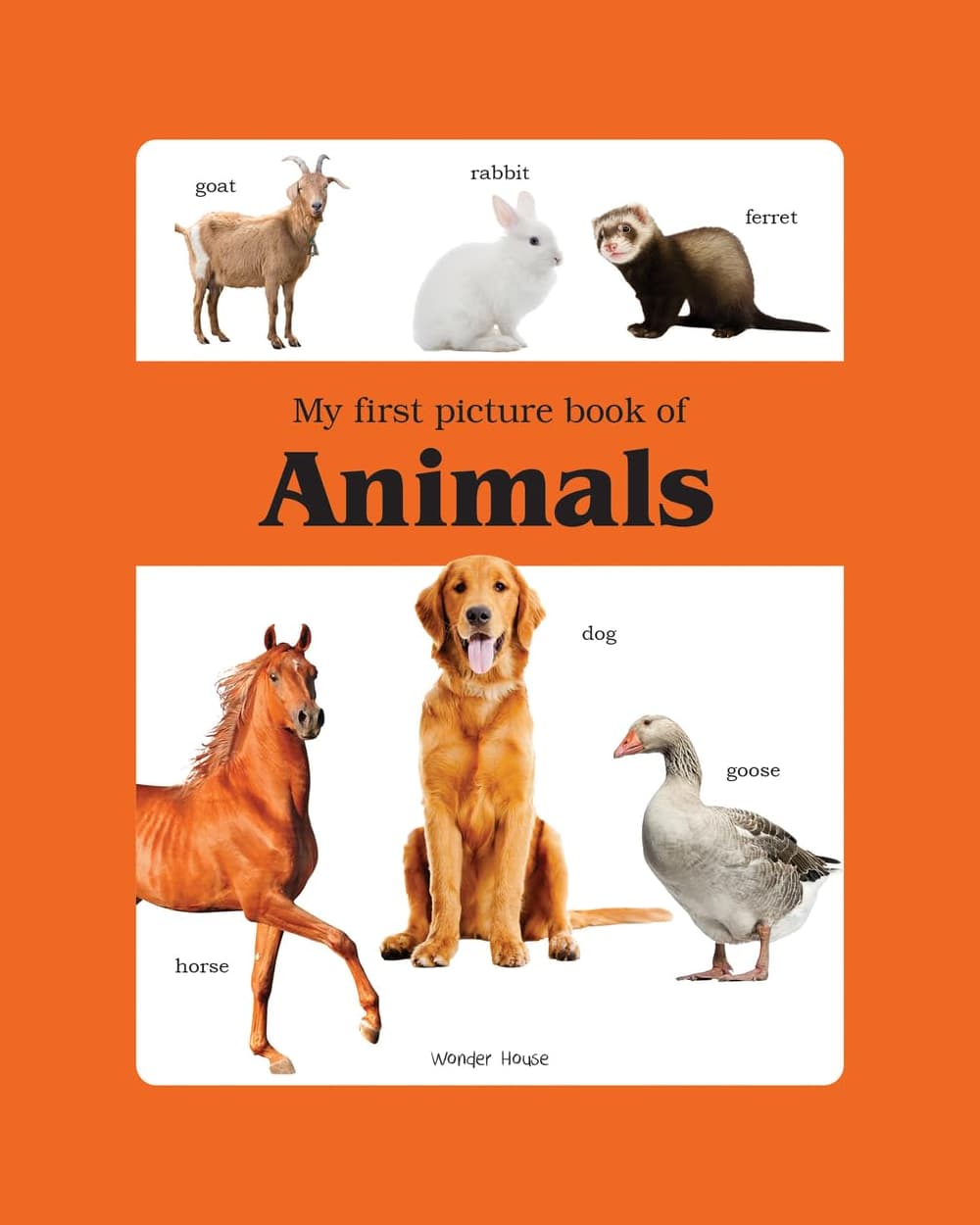 My first picture book of Animals: Picture Books for Children