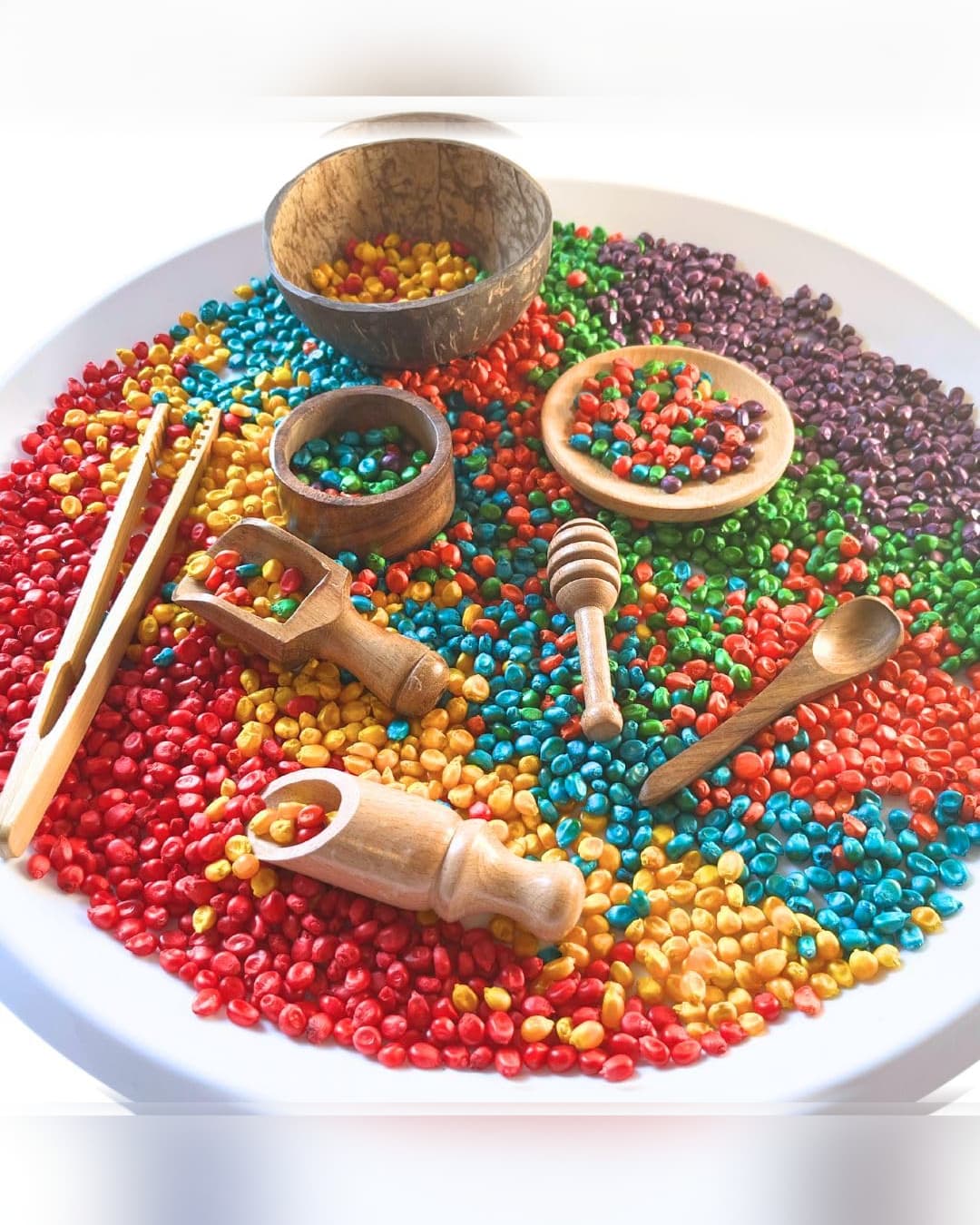 Lattooland Wooden Sensory Tools Play Set for Kids (8 Pcs) Child-Sized Perfect for Sensory Bins For Kids Age 8m+