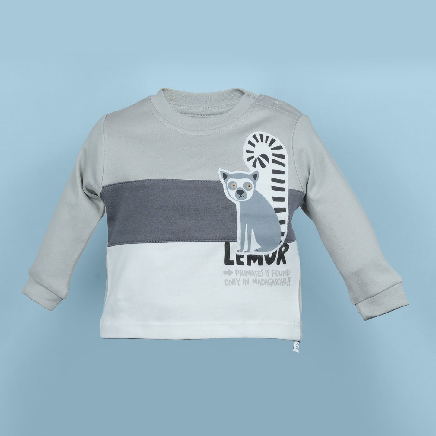 Curious Little Explorer – Neo Nate Boys’ Grey Printed Co-Ord Set