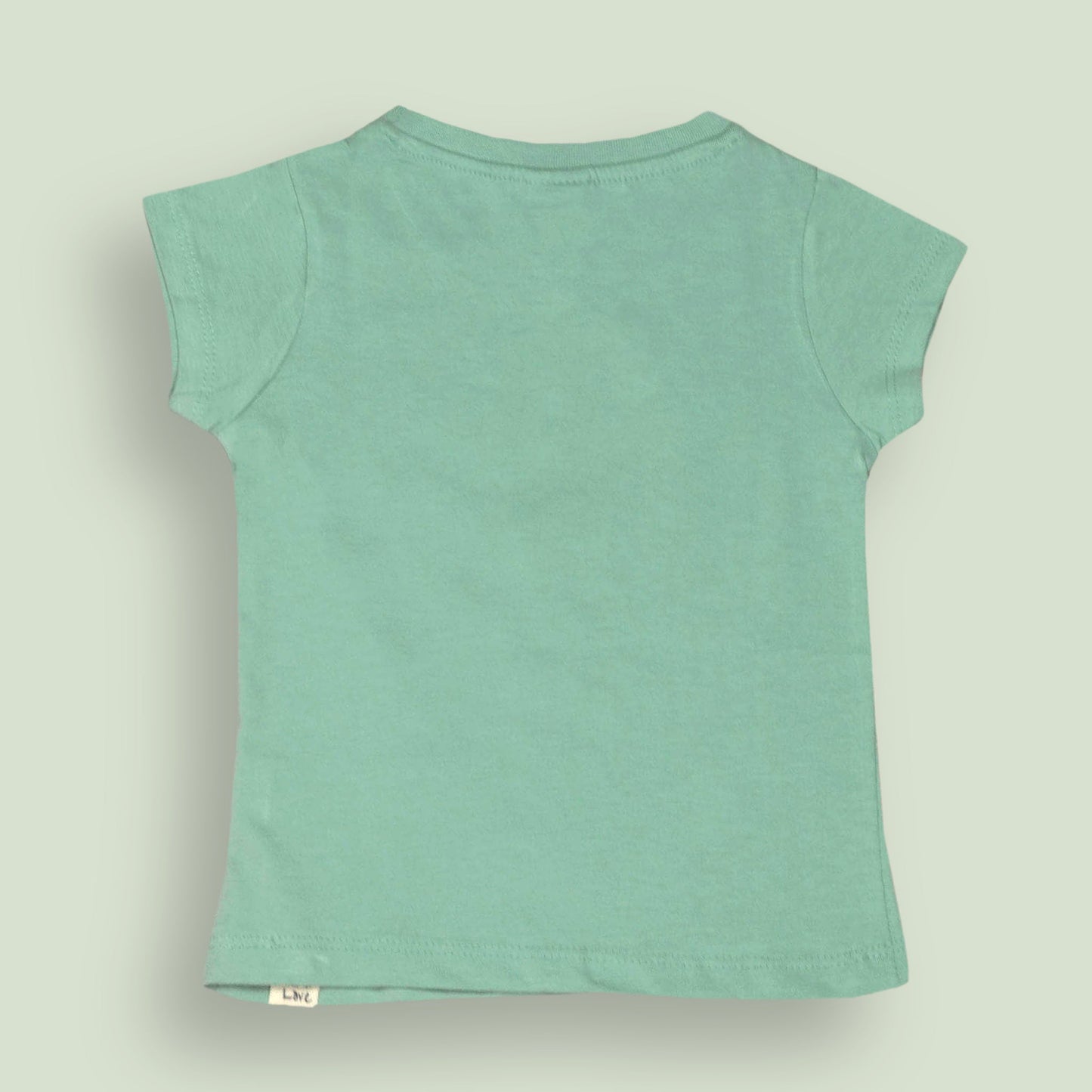 Ollypop Light Green Sinker Knit Half Sleeves Top with Season of Fruit Love Print