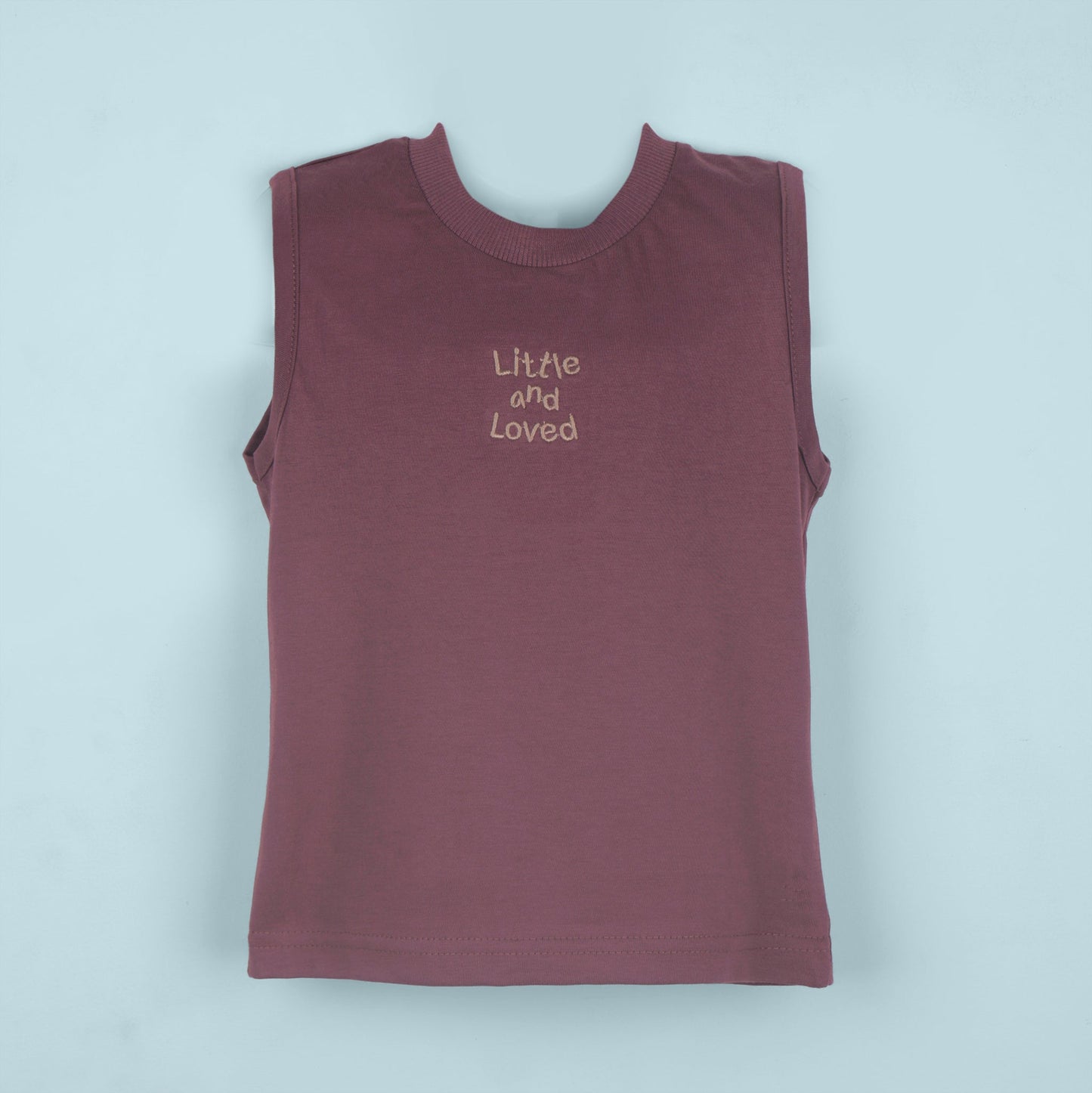 Everyday Cool – Boys’ Wine Shirt, Printed Tee & Shorts Outfit