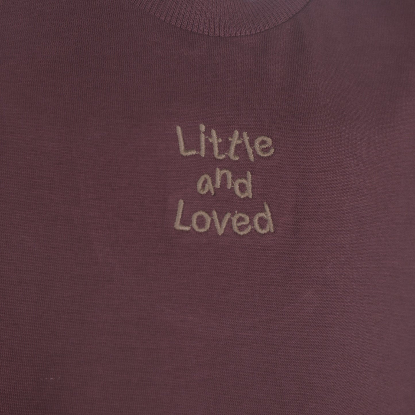 Everyday Cool – Boys’ Wine Shirt, Printed Tee & Shorts Outfit
