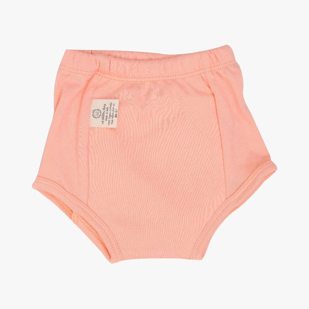 Coral & Aqua Blue Comfort Swim Panties Pair